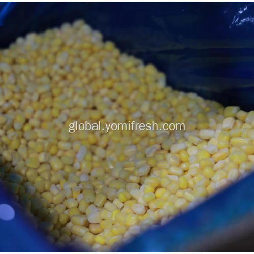 Frozen Sweet Corn Kernel Frozen Sweet Corn Kernel Manufactory